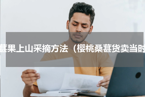 桑葚果上山采摘方法（樱桃桑葚货卖当时）