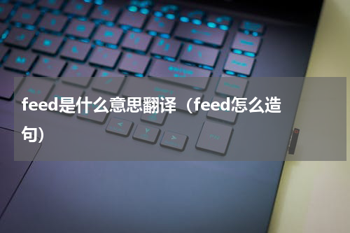 feed是什么意思翻译（feed怎么造句）