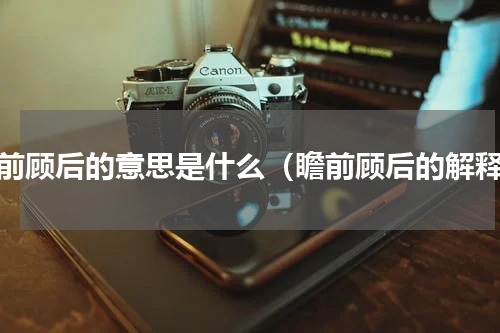 瞻前顾后的意思是什么（瞻前顾后的解释）