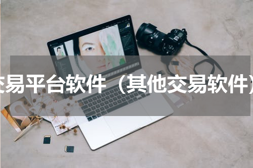 交易平台软件（其他交易软件）