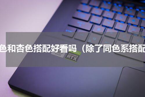 米色和杏色搭配好看吗（除了同色系搭配）