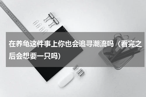 在养龟这件事上你也会追寻潮流吗（看完之后会想要一只吗）