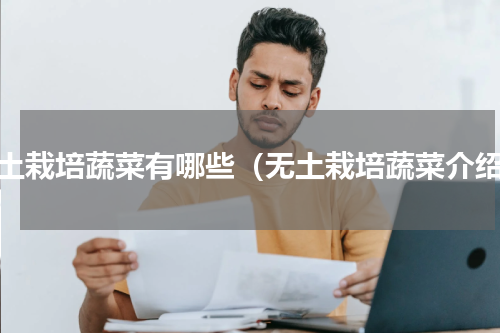无土栽培蔬菜有哪些（无土栽培蔬菜介绍）