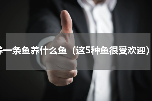 养一条鱼养什么鱼（这5种鱼很受欢迎）