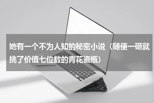 她有一个不为人知的秘密小说（随便一砸就挑了价值七位数的青花瓷瓶）