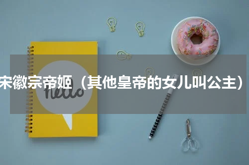 宋徽宗帝姬（其他皇帝的女儿叫公主）