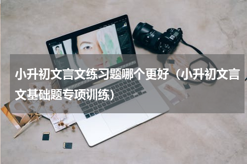 小升初文言文练习题哪个更好（小升初文言文基础题专项训练）