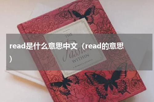 read是什么意思中文（read的意思）