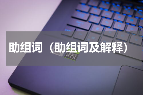 助组词（助组词及解释）