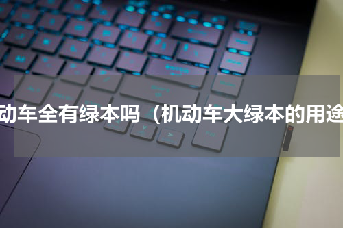 机动车全有绿本吗（机动车大绿本的用途）