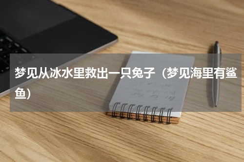 梦见从冰水里救出一只兔子（梦见海里有鲨鱼）