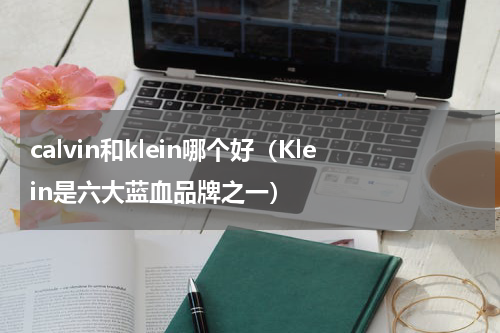 calvin和klein哪个好（Klein是六大蓝血品牌之一）