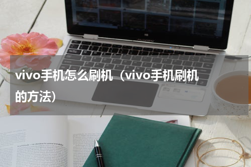 vivo手机怎么刷机（vivo手机刷机的方法）