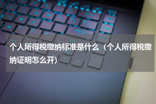 个人所得税缴纳标准是什么（个人所得税缴纳证明怎么开）