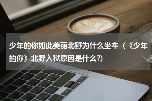 少年的你如此美丽北野为什么坐牢（《少年的你》北野入狱原因是什么?）