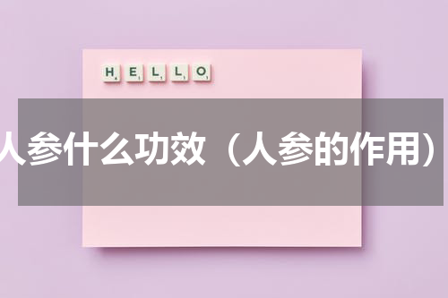 人参什么功效（人参的作用）