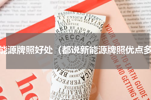 新能源牌照好处（都说新能源牌照优点多）