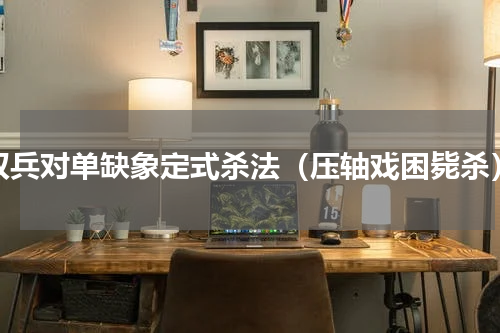 双兵对单缺象定式杀法（压轴戏困毙杀）