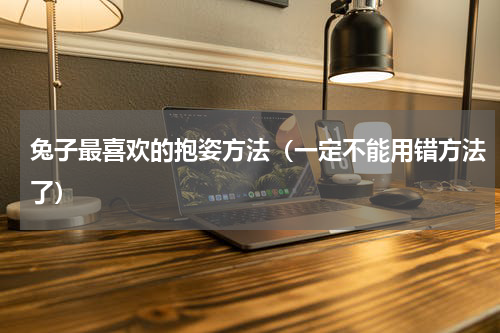 兔子最喜欢的抱姿方法（一定不能用错方法了）