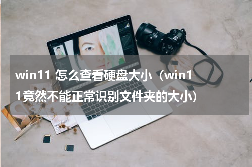 win11 怎么查看硬盘大小（win11竟然不能正常识别文件夹的大小）
