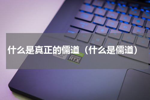 什么是真正的儒道（什么是儒道）