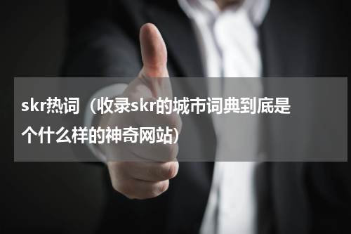 skr热词（收录skr的城市词典到底是个什么样的神奇网站）