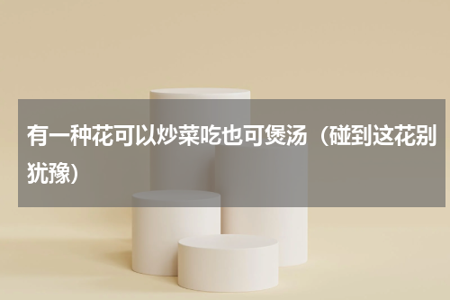 有一种花可以炒菜吃也可煲汤（碰到这花别犹豫）
