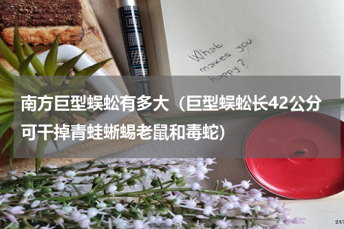 南方巨型蜈蚣有多大（巨型蜈蚣长42公分可干掉青蛙蜥蜴老鼠和毒蛇）
