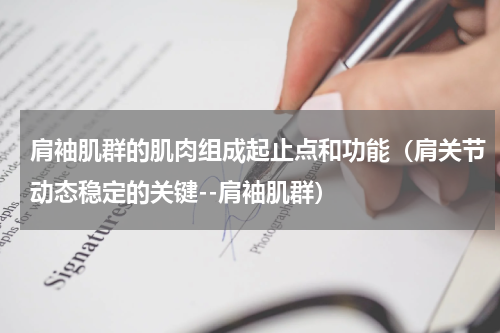 肩袖肌群的肌肉组成起止点和功能（肩关节动态稳定的关键--肩袖肌群）