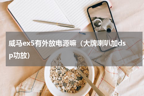 威马ex5有外放电源嘛（大牌喇叭加dsp功放）