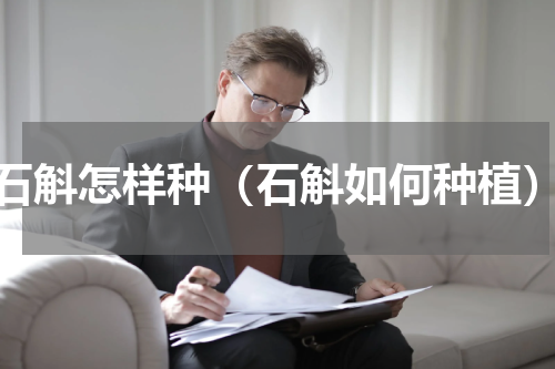 石斛怎样种（石斛如何种植）