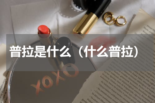 普拉是什么（什么普拉）