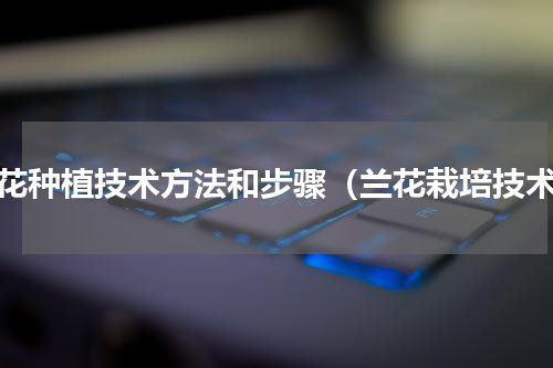兰花种植技术方法和步骤（兰花栽培技术）