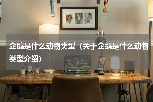 企鹅是什么动物类型（关于企鹅是什么动物类型介绍）