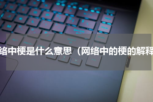 网络中梗是什么意思（网络中的梗的解释）