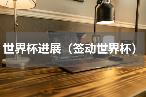 世界杯进展（签动世界杯）