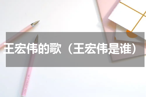 王宏伟的歌（王宏伟是谁）