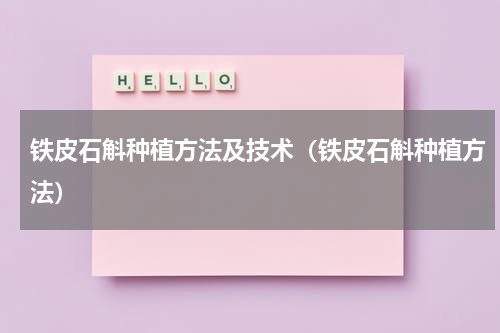 铁皮石斛种植方法及技术（铁皮石斛种植方法）