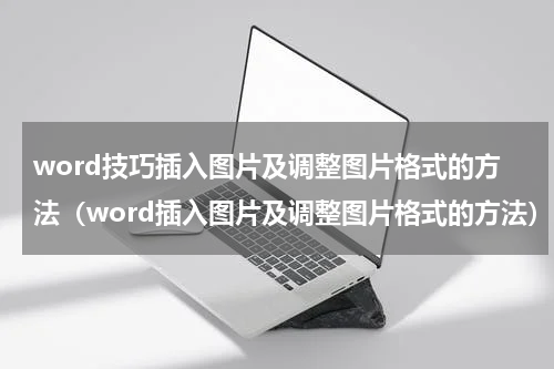 word技巧插入图片及调整图片格式的方法（word插入图片及调整图片格式的方法）