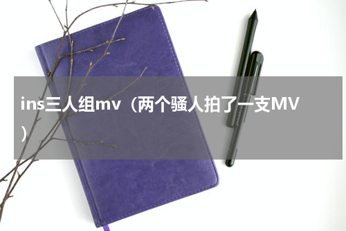 ins三人组mv（两个骚人拍了一支MV）