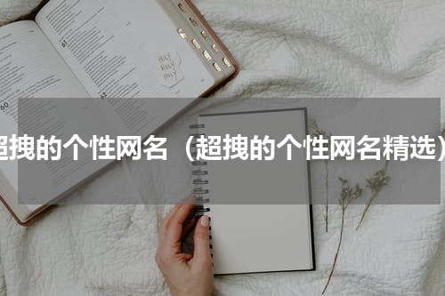 超拽的个性网名（超拽的个性网名精选）