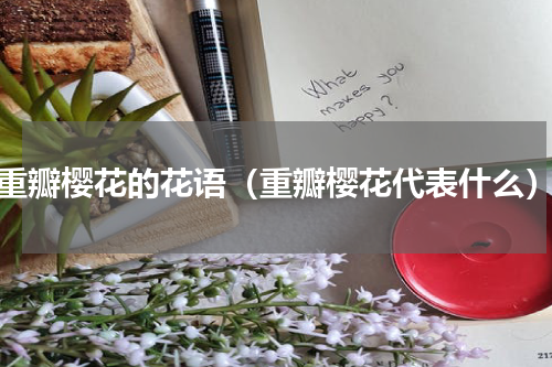 重瓣樱花的花语（重瓣樱花代表什么）