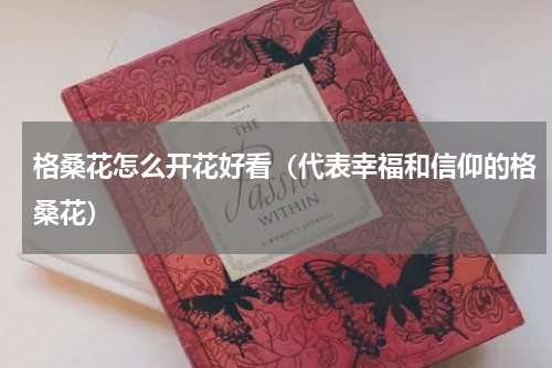 格桑花怎么开花好看（代表幸福和信仰的格桑花）