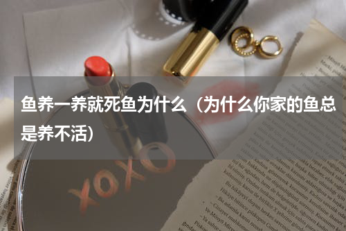 鱼养一养就死鱼为什么（为什么你家的鱼总是养不活）