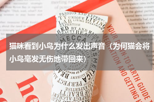猫咪看到小鸟为什么发出声音（为何猫会将小鸟毫发无伤地带回来）