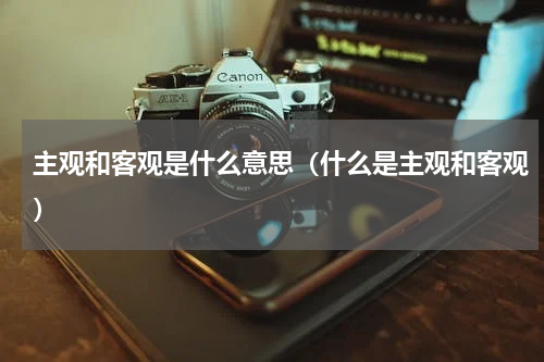 主观和客观是什么意思（什么是主观和客观）