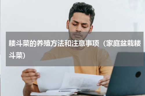 耧斗菜的养殖方法和注意事项（家庭盆栽耧斗菜）