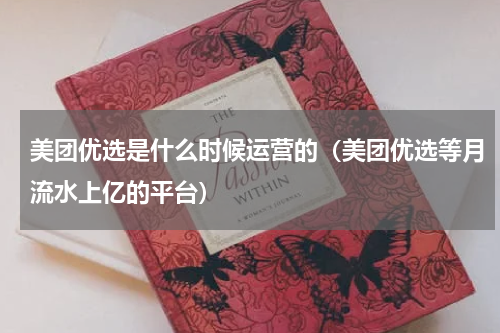 美团优选是什么时候运营的（美团优选等月流水上亿的平台）