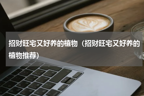 招财旺宅又好养的植物（招财旺宅又好养的植物推荐）