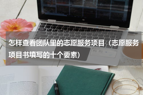 怎样查看团队里的志愿服务项目（志愿服务项目书填写的十个要素）